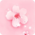 桔宝短视频最新版