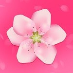 快猫短视频app