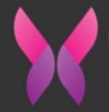 大菠萝福建导航导入网最新版