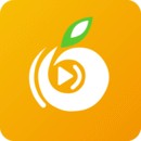 六夜影视app