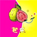 月夜直播视频免费观看直播