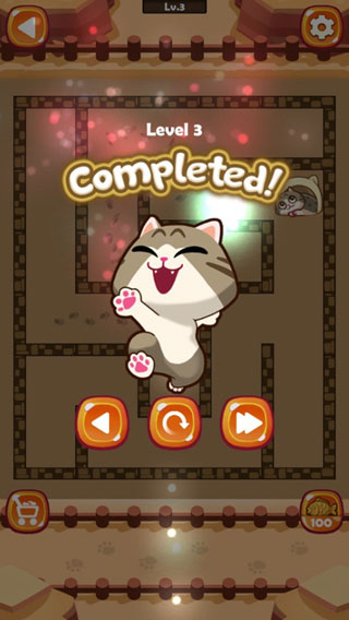 迷宫猫1